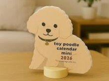 予約なしでも入店できますか？