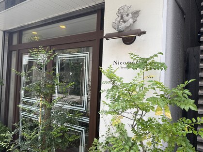ニコマリア(Nicomaria from zacc)の写真