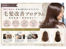 30代から始める、未来の美髪を育てる毛髪改善プログラム