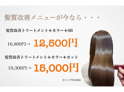 ハニービー(Honey Bee)の写真