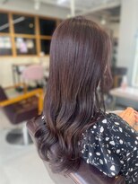 ザコーストバイネオリーブ 辻堂店(The coast by neolive)&nbsp;ピンクラベンダー