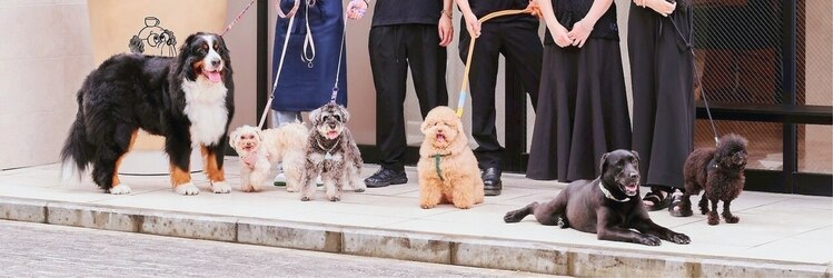 ドッグマニアピンチアオヤマ(DOGMANIA PiNCH AOYAMA)のサロンヘッダー
