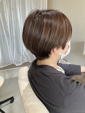 本と南風 guest design