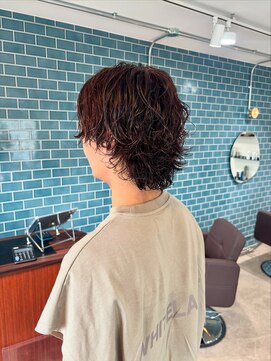 シカ(si:ca) サーフカール