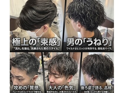 スエラ(suera)の写真