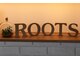 ルーツ(roots)の写真