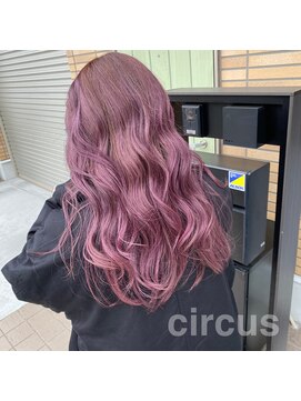 サーカス(circus) ラベンダーピンク
