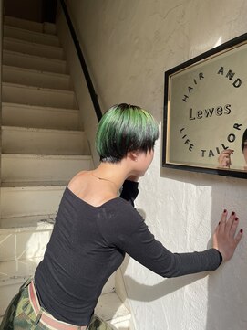 ルイス(LEWES) デザインカラー