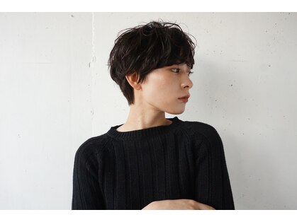 タビー(tabby)の写真