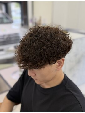 ジャス(Jus) 茶髪波巻きプードル