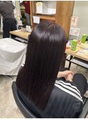 ダークチェリーラベンダー