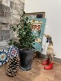 アパートメント オブ ソロン(The Apartment of Solon) お部屋の雑貨は旅行先で出会った子達です!