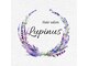 ルピナス(Lupinus)の写真