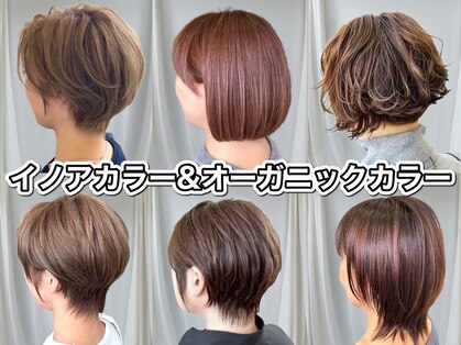 アヴソリューク(Absoluk)の写真