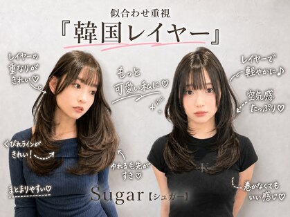 シュガー(Sugar)の写真