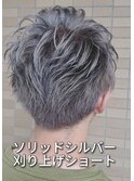 【ソリッドシルバー×カリアゲショート】スガワラタクマ担当