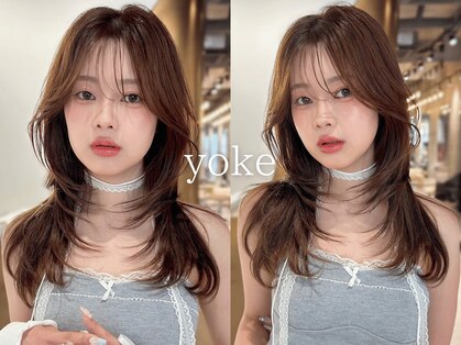 ヨーク(yoke)の写真
