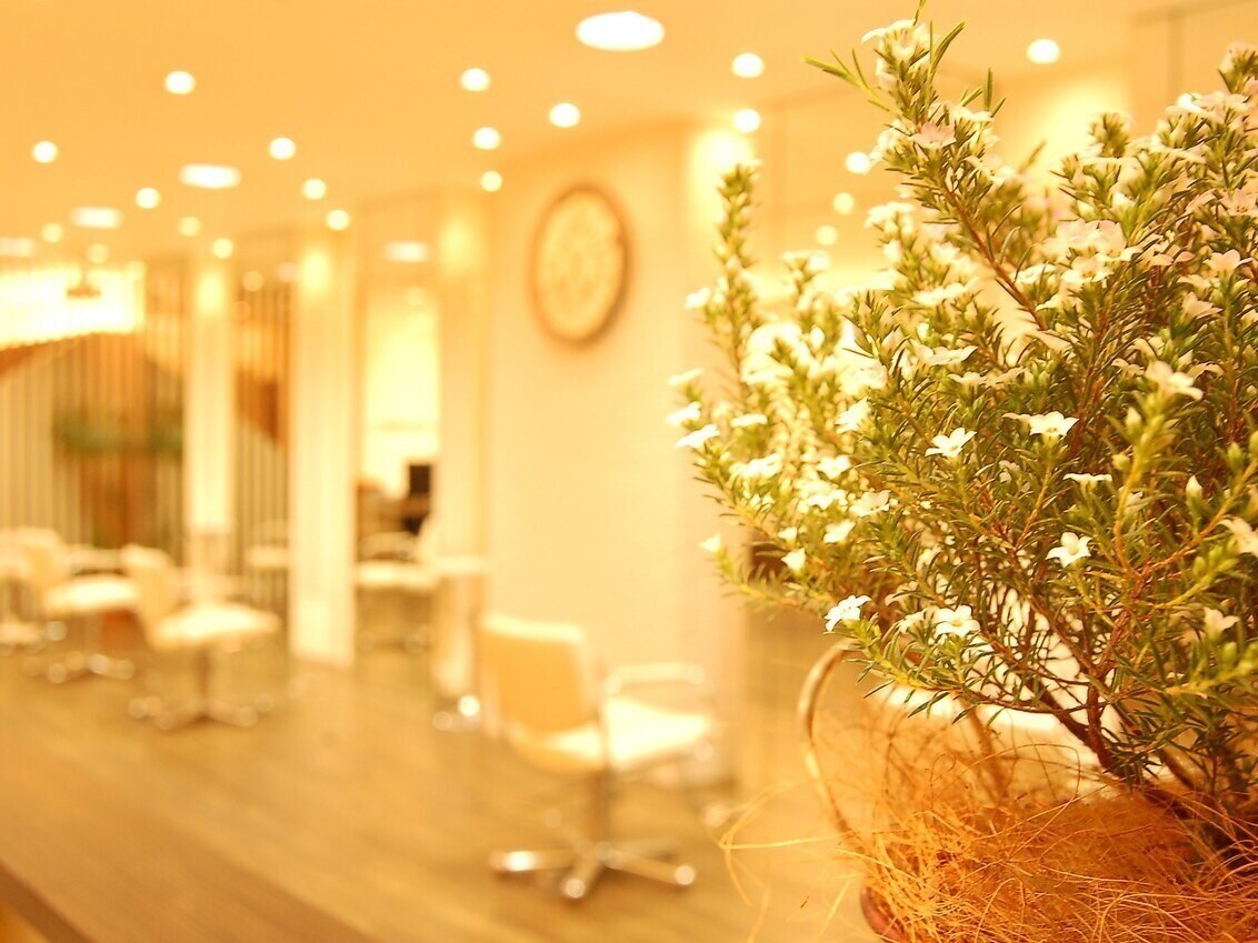 ワイズヘアーカンパニー(Y's Hair Company)｜ホットペッパー