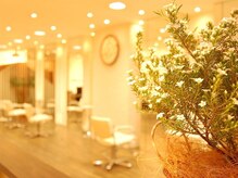 ワイズヘアーカンパニー(Y's Hair Company)