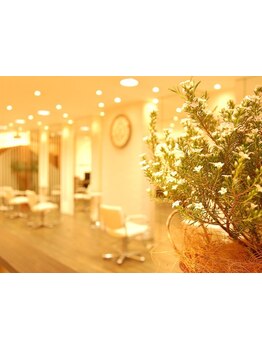 【長田駅徒歩2分】男女問わず幅広いお客様から支持を受けるアットホームサロン♪家族で通いやすい！