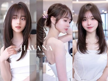 ハバナ 渋谷(HAVANA)の写真/【髪質改善】髪質改善トリートメントで“感動の艶”へ◎縮毛矯正やレイヤーカットとも相性◎[渋谷]