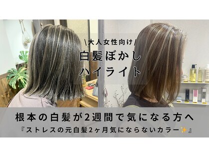 ルクス(Lux)の写真