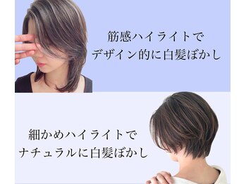 PETZ PROFESSIONAL【ペッツ プロフェッショナル】