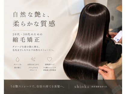 シンカ(shinka)の写真