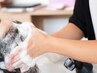 【健康な頭皮へ】カット＋カラー＋頭皮改善ヘッドスパ13,000円～