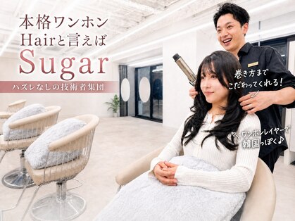 シュガー(Sugar)の写真