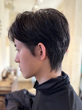 コンフォート スペース ソーラ(comfort space so ra) ツーセクションマッシュレイヤー