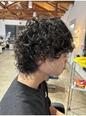 マッシュウルフ