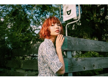ボノボ(Bonobo)の写真