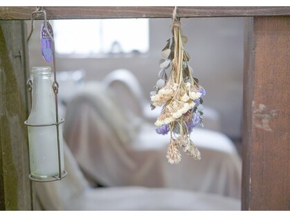 ジジ(Gigi)の写真