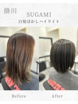 スガミ(SUGAMI)&nbsp;白髪ぼかしハイライト/脱白髪染め