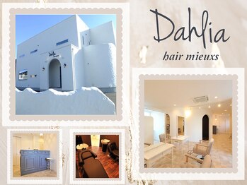 Dahlia hair mieuxs 高崎 【ダリアヘアー ミュウズ タカサキ】