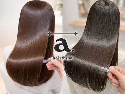 エードット(a.)の写真