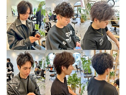 ソラ(SORA.)の写真