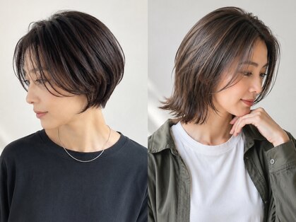ストック(stock)の写真