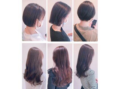 メープル(maple)の写真