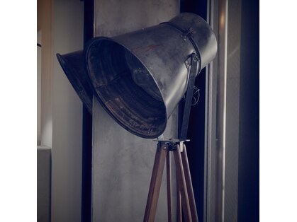 エディ(HEDI)の写真