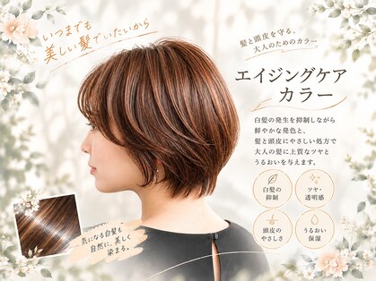 バニラ(VANILLE)の写真