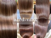 アードバーク(aardvark)