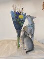 ネフ(NeF) 『テトとネノ』かわいい2匹、うちの子達です☆