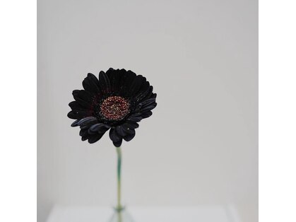 トゥージュ ベル(Toujours Belle)の写真