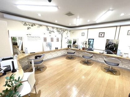 プラスパヘア(Prosper Hair)の写真