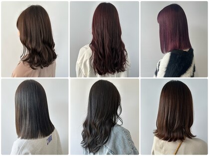 シェリッシュ ノース(Sheriche North)の写真