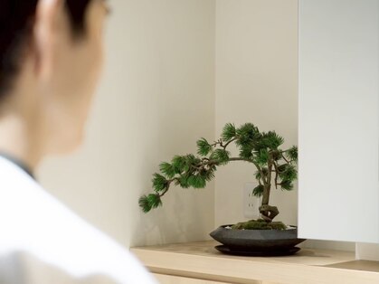 ガニメデ(GANYMEDE)の写真