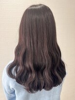 ミモザ シンサイバシ(Mimosa shinsaibashi)&nbsp;ラベンダーパープルカラー