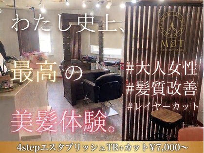 エムアンドティー(M&T)の写真